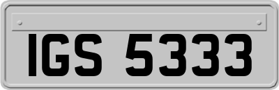 IGS5333