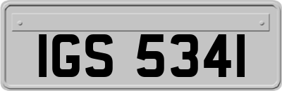 IGS5341