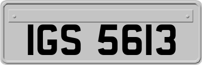 IGS5613