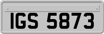 IGS5873