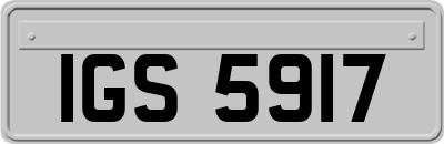 IGS5917