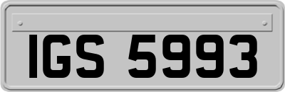 IGS5993