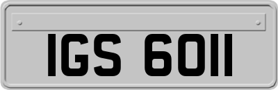 IGS6011