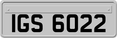 IGS6022