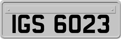 IGS6023