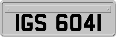 IGS6041