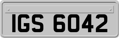 IGS6042
