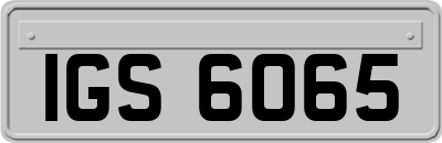 IGS6065