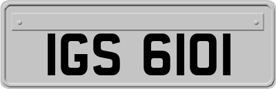 IGS6101
