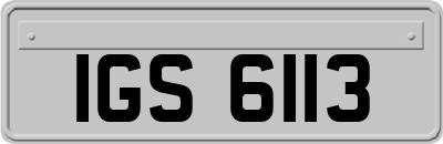 IGS6113