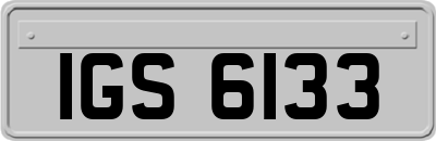 IGS6133