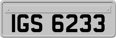 IGS6233