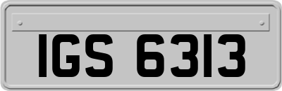 IGS6313