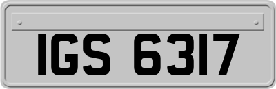 IGS6317