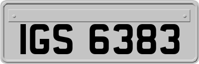 IGS6383