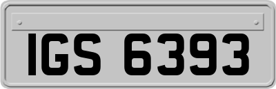 IGS6393