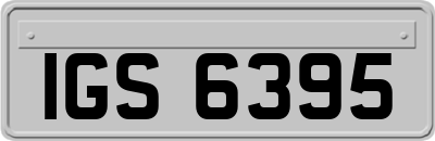 IGS6395