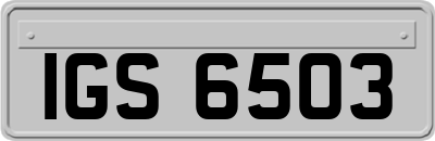 IGS6503