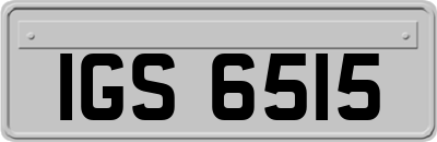IGS6515