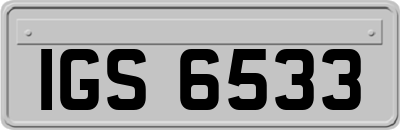 IGS6533