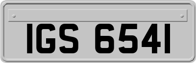 IGS6541