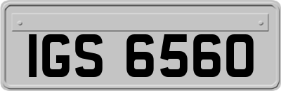 IGS6560