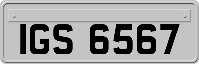 IGS6567