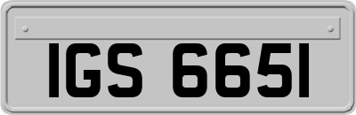 IGS6651