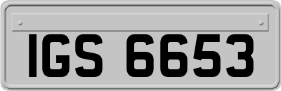 IGS6653