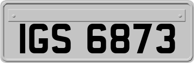 IGS6873