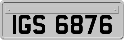 IGS6876