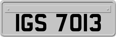 IGS7013