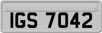 IGS7042