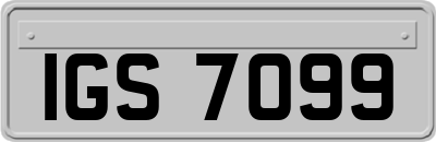IGS7099