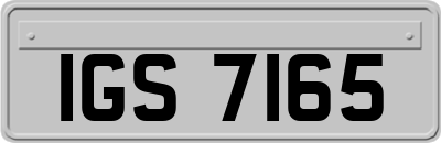 IGS7165