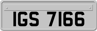 IGS7166
