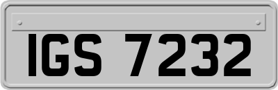 IGS7232