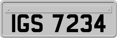 IGS7234