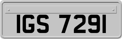 IGS7291