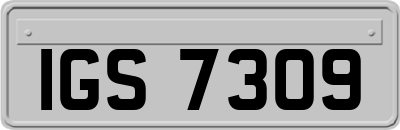 IGS7309