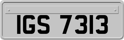 IGS7313
