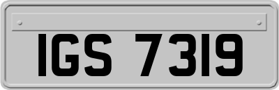 IGS7319