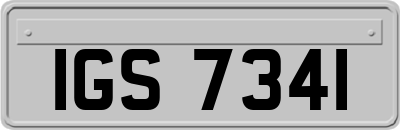 IGS7341