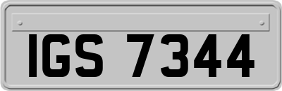 IGS7344