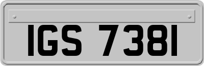 IGS7381