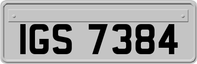 IGS7384