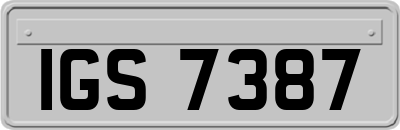 IGS7387