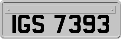 IGS7393