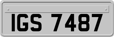 IGS7487