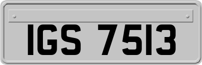 IGS7513
